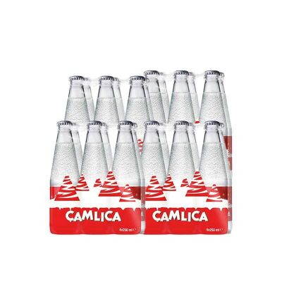 ÜLKER ÇAMLICA CAM ŞİŞE GAZOZ 250ML - 24'LÜ - 1