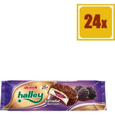 ÜLKER HALLEY MİNİ KARADUT 66 GRX24'LÜ - 1